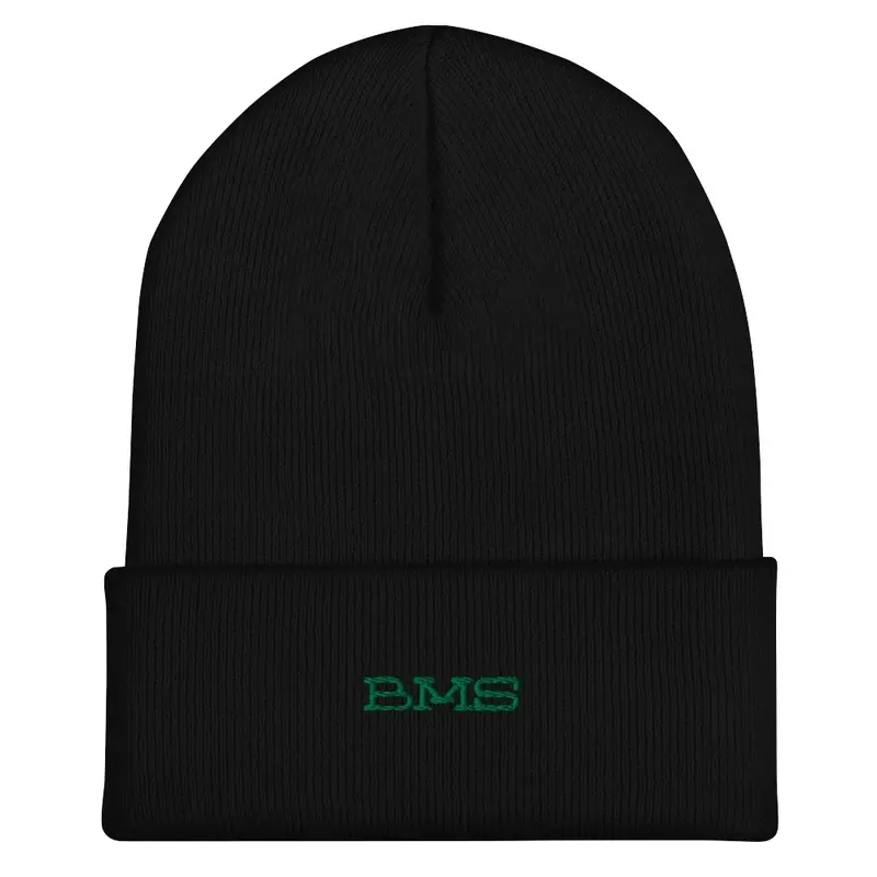 BMS wire skully