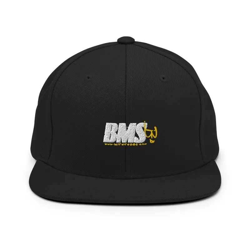 BMS company Snapback